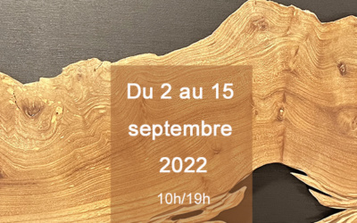 Exposition Galerie les amis des arts, Cours Mirabeau, Aix en Provence