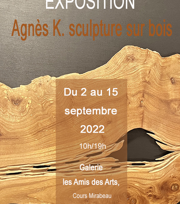 Exposition Galerie les amis des arts, Cours Mirabeau, Aix en Provence