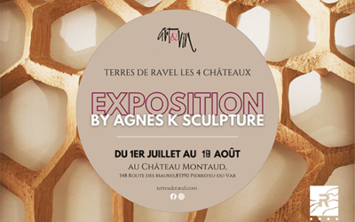 Dégustation de vin et vernissage