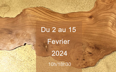 exposition galerie les Amis de arts Février 2024