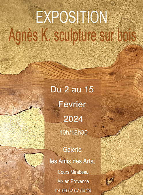 exposition galerie les Amis de arts Février 2024