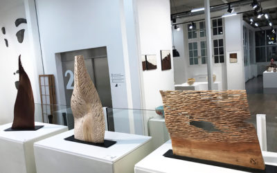 Exposition Galerie collection Paris / Exhibition gallery Collection Paris