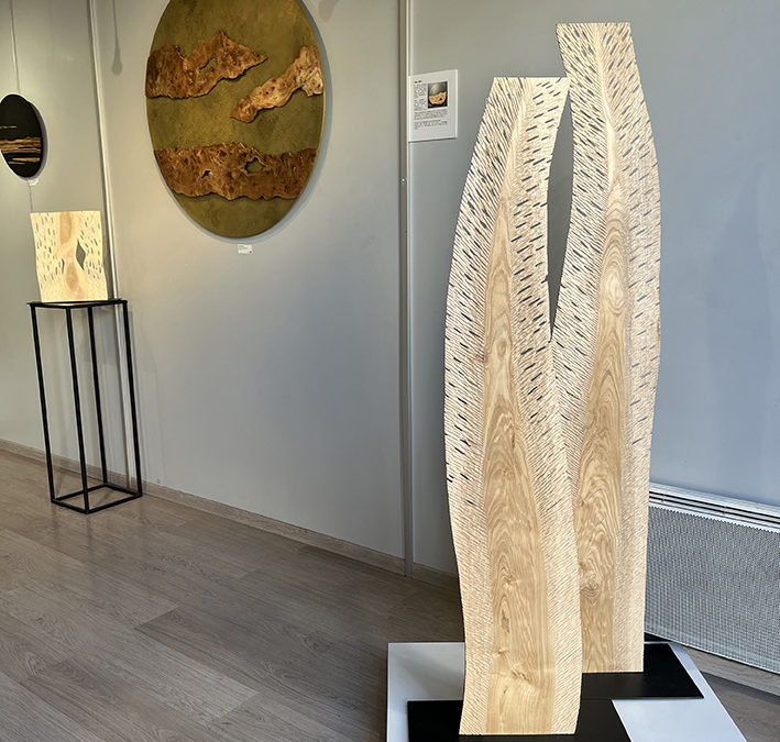 Retour en image, galerie les Amis des Arts , Aix en Provence 2024