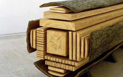 The wood 2