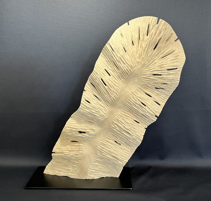 expositions automne 2024
