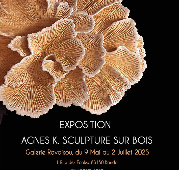 Retour en image exposition Galerie Ravaisou, Bandol