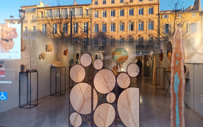 Retour en image: galerie les amis des arts, Aix en Provence