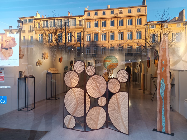 Retour en image: galerie les amis des arts, Aix en Provence