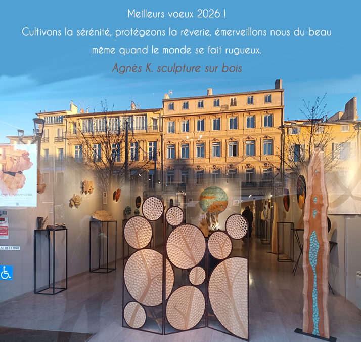 Bonne année 2026