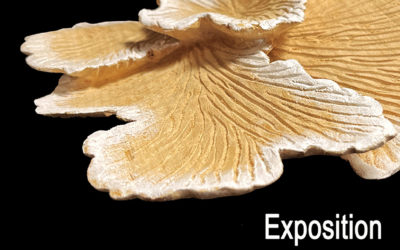 Expositions printemps 2026 / Exhibitions spring 2026