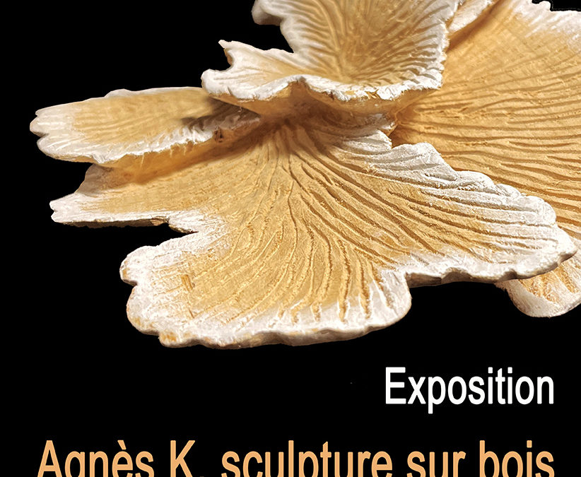 Expositions printemps 2026 / Exhibitions spring 2026