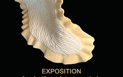 Expositions été 2026